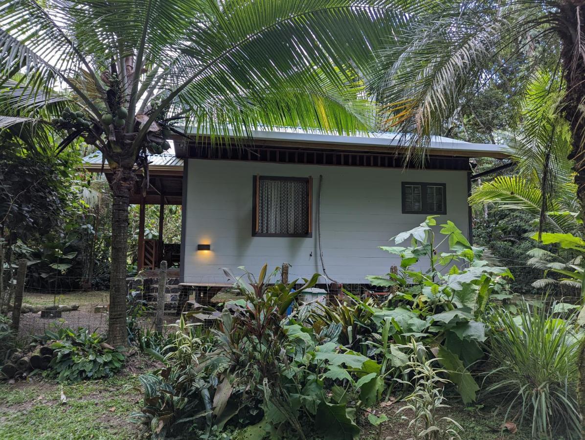 Casita Bribri At Margarita Hills Villa Cocles Dış mekan fotoğraf